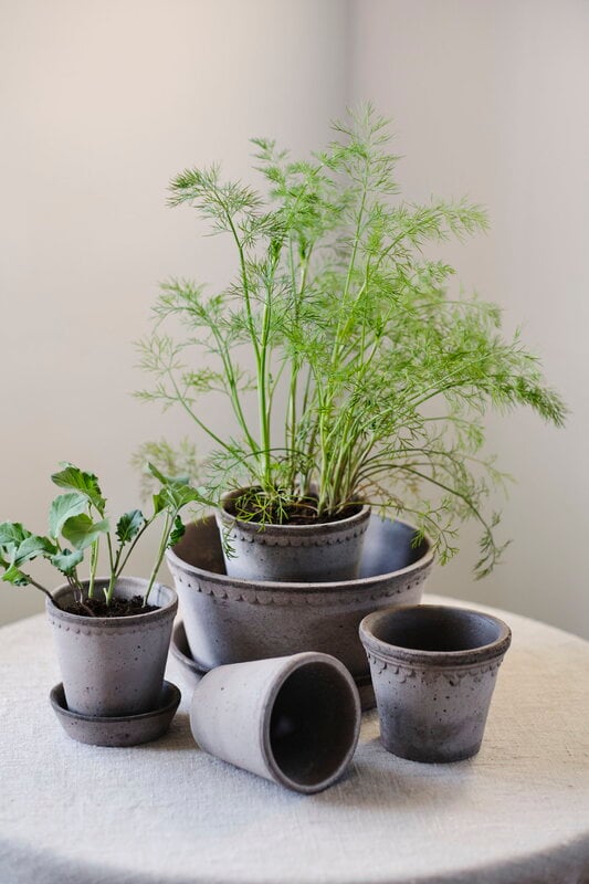 Bergs Potter Københavner Blumentopf mit Untersetzer, 10 cm, 3er-Geschenkbox, rohgrau, dekorationsbild