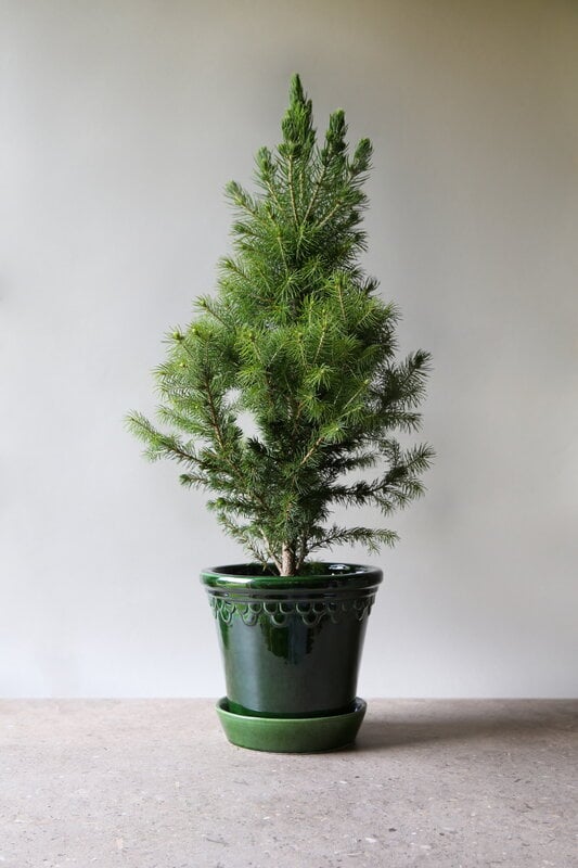 Bergs Potter Københavner pot de fleurs avec soucoupe, émeraude émaillée, image décorative