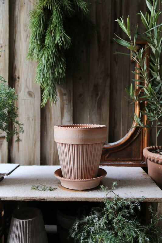 Bergs Potter Simona Blumentopf mit Untersetzer, Raw Rosa, dekorationsbild