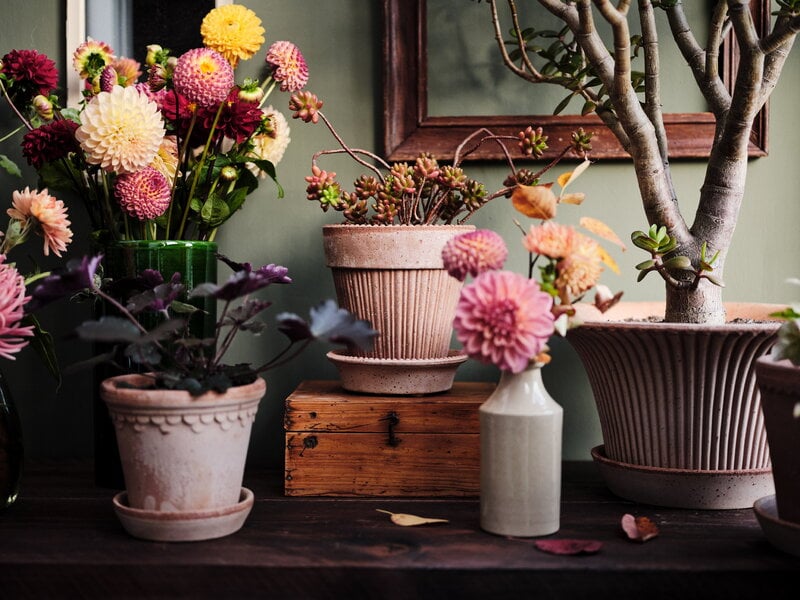 Bergs Potter Simona Blumentopf mit Untersetzer, Raw Rosa, dekorationsbild