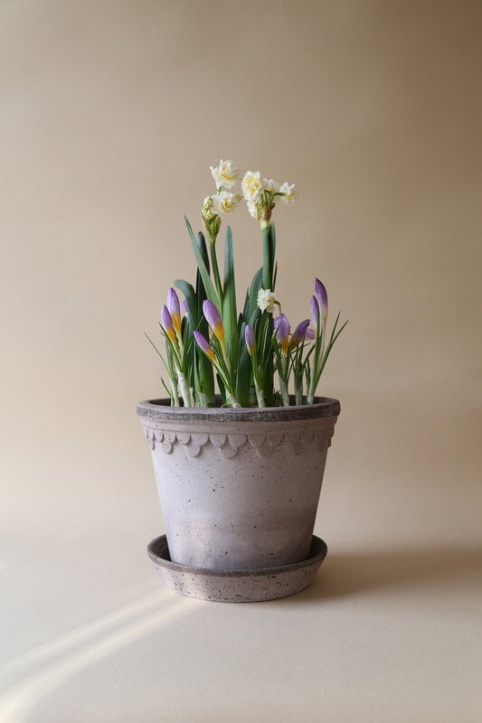 Bergs Potter Københavner Blumentopf mit Untersetzer, 10 cm, 3er-Geschenkbox, rohgrau, dekorationsbild