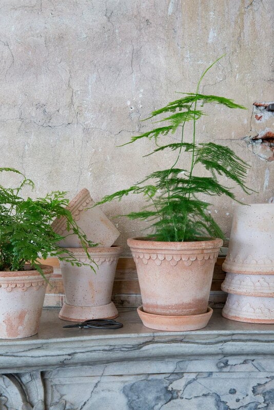 Bergs Potter Københavner Blumentopf mit Untersetzer, Raw Rosa, dekorationsbild