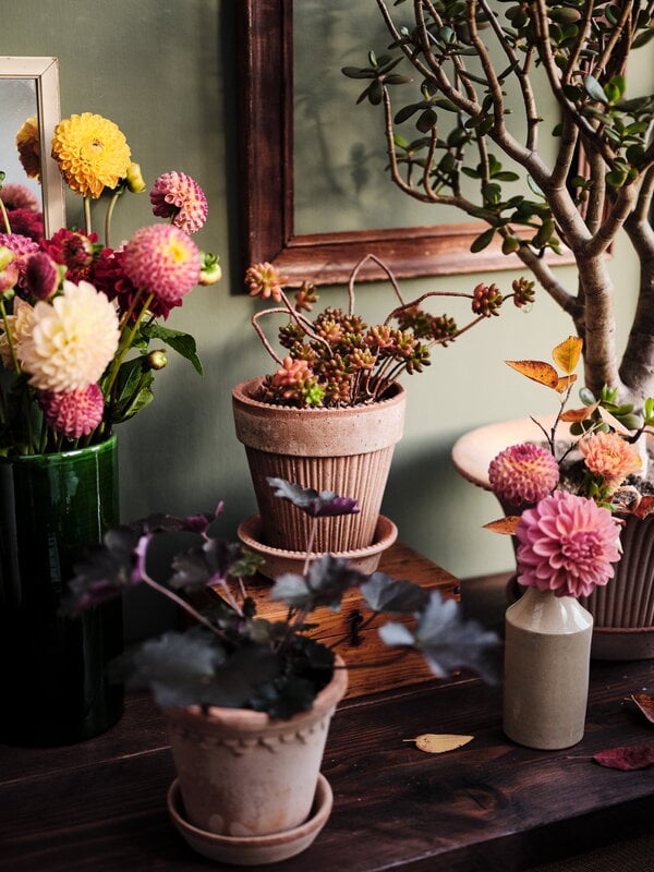 Bergs Potter Simona Blumentopf mit Untersetzer, Raw Rosa, dekorationsbild