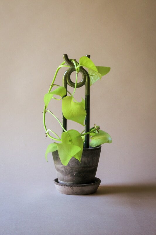 Bergs Potter Folk plant stake, Oni, glazed moss green, view 3