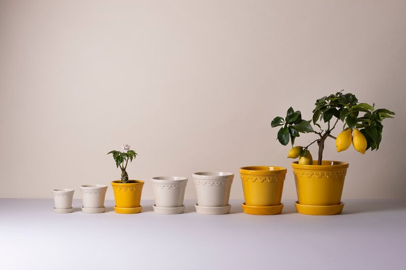 Bergs Potter Københavner maceta con plato, gres esmaltado color arena, imagen de decoración