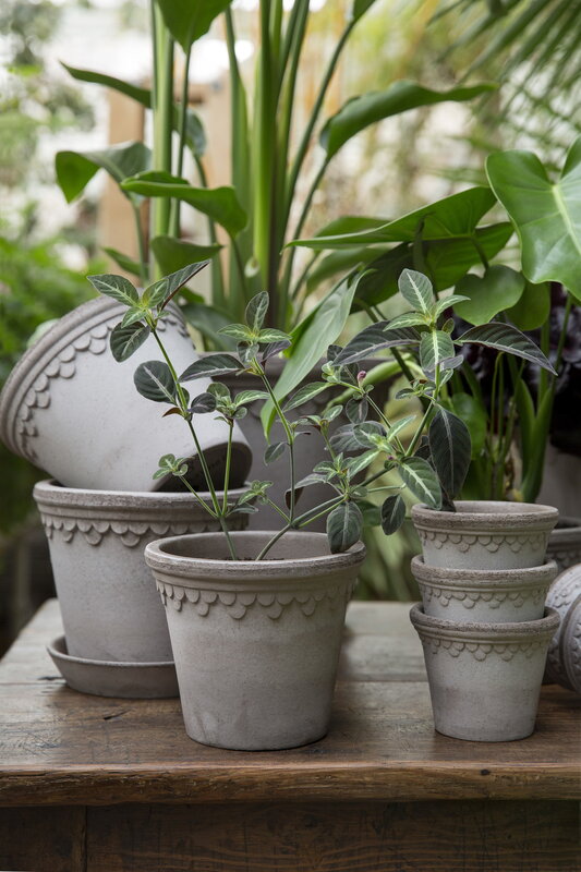 Bergs Potter Københavner Blumentopf mit Untersetzer, rohgrau, dekorationsbild