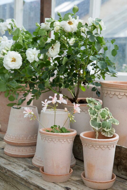 Bergs Potter Københavner Blumentopf mit Untersetzer, Raw Rosa, dekorationsbild