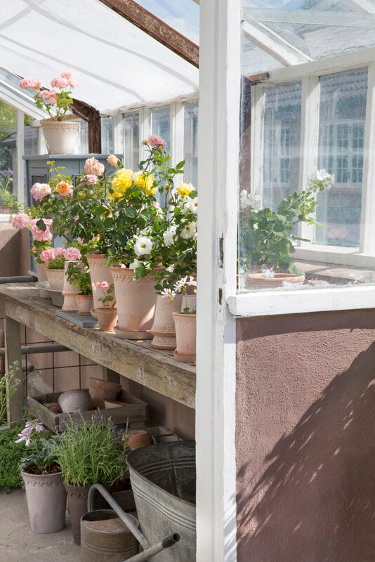 Bergs Potter Københavner Blumentopf mit Untersetzer, Raw Rosa, dekorationsbild