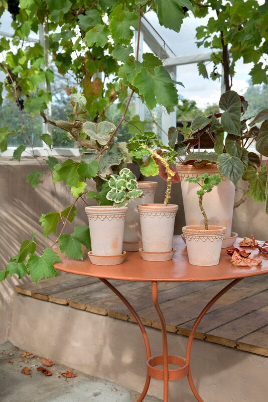 Bergs Potter Københavner Blumentopf mit Untersetzer, Raw Rosa, dekorationsbild