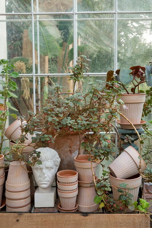 Bergs Potter Simona Blumentopf mit Untersetzer, Raw Rosa, dekorationsbild