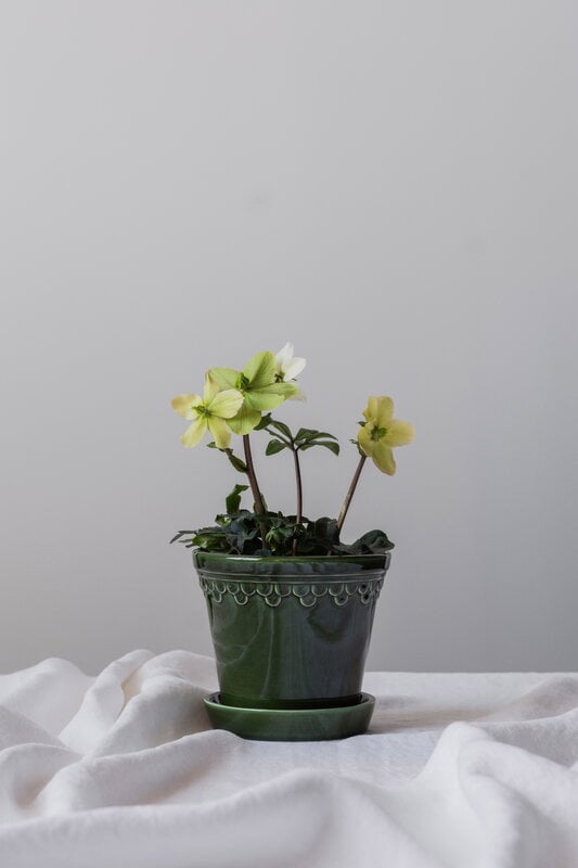 Bergs Potter Københavner pot de fleurs avec soucoupe, émeraude émaillée, image décorative