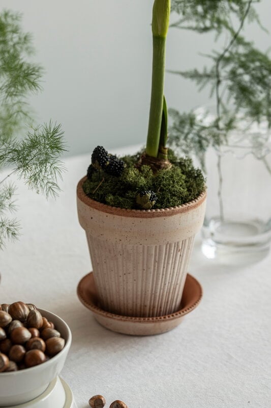 Bergs Potter Simona Blumentopf mit Untersetzer, Raw Rosa, dekorationsbild