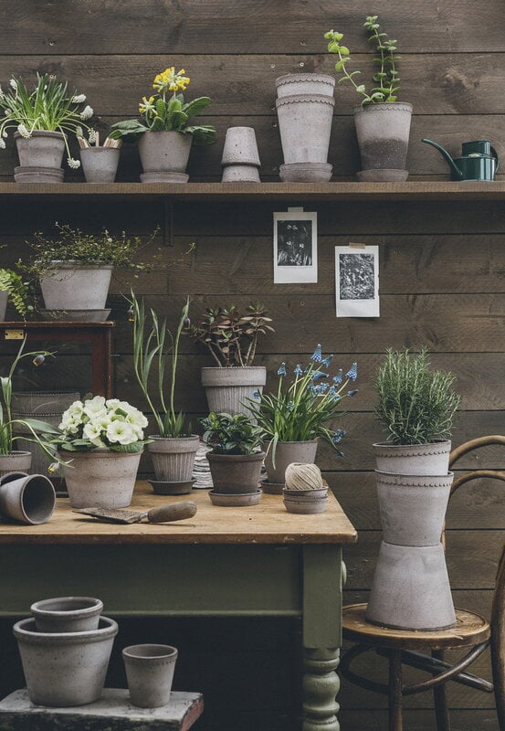 Bergs Potter Simona Blumentopf mit Untersetzer, rohgrau, dekorationsbild