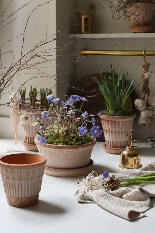Bergs Potter Atlas Blumentopf mit Untersetzer, Raw Rosa, dekorationsbild