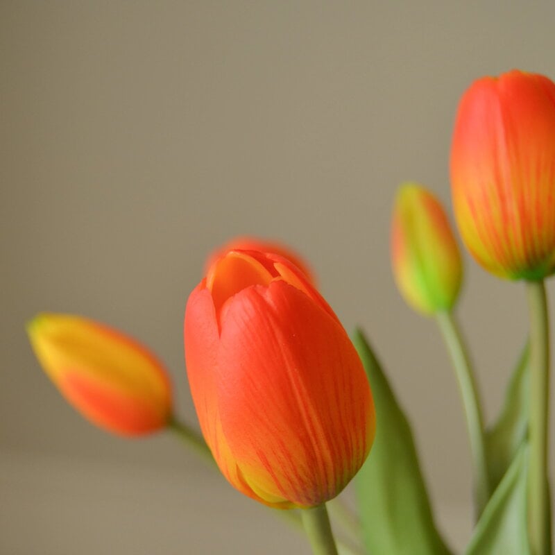 Botané Orange Tulip ramo, vista 2