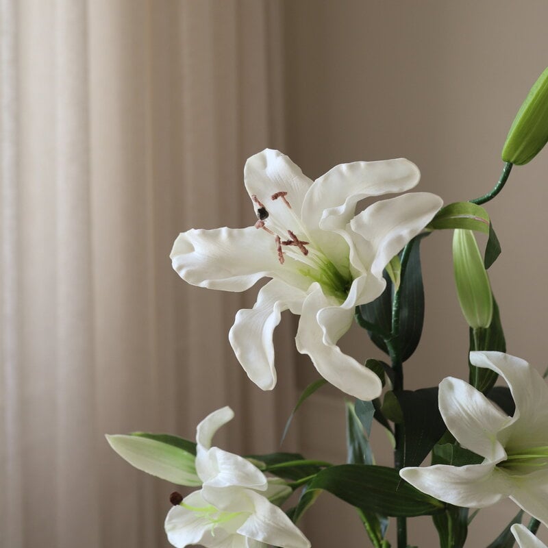 Botané Elegant Lily ramo, blanco, vista 3