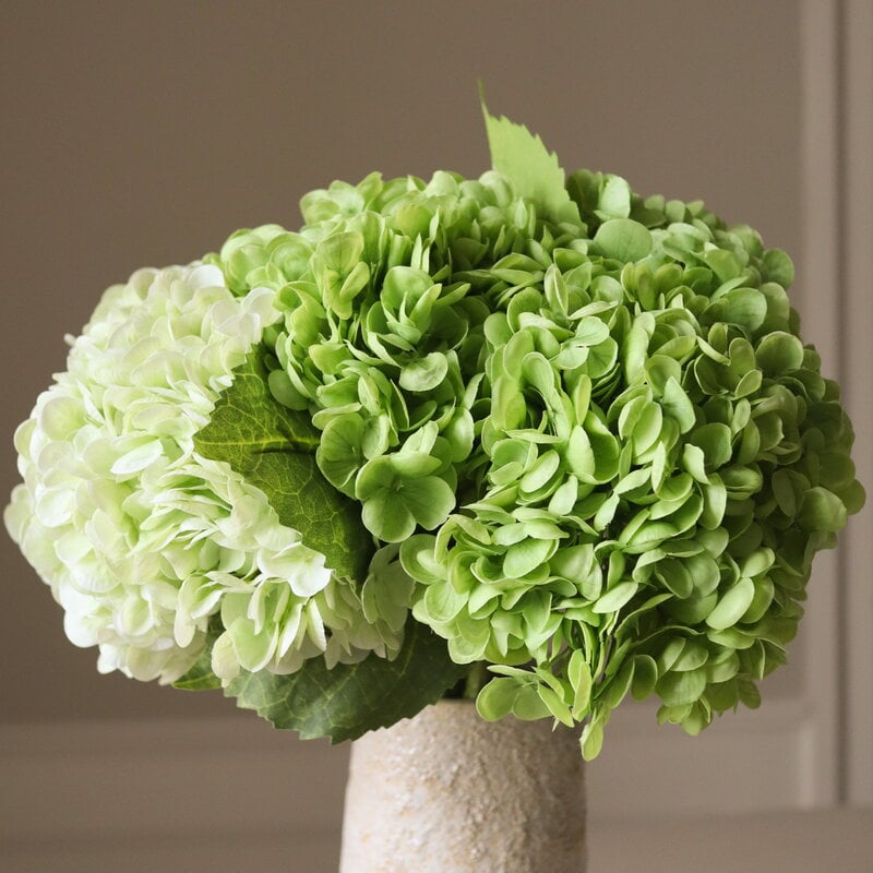Botané Green Hydrangea ramo, vista 2