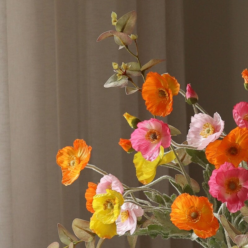 Botané Ramo Poppy Spritz, vista 4