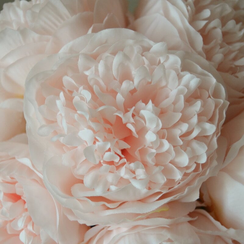 Botané Mini Peony ramo, rosa claro, vista 4