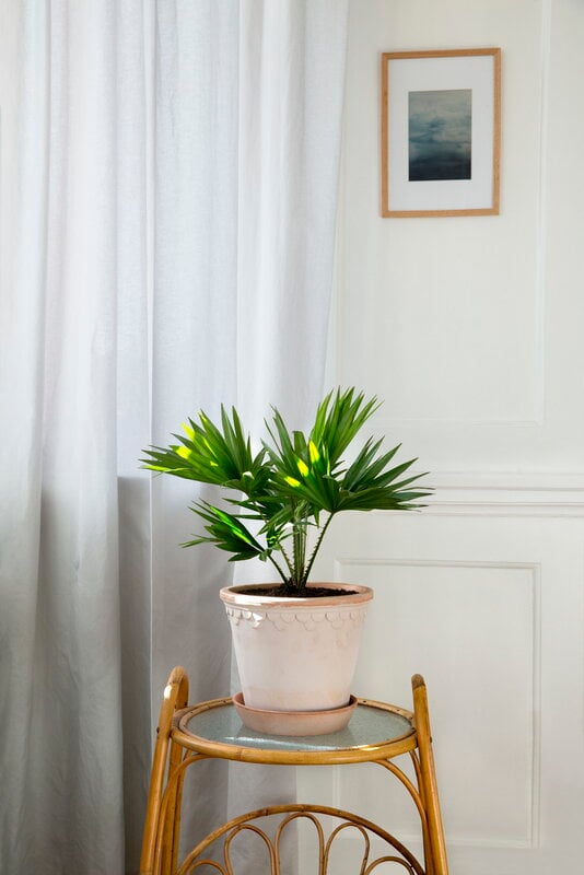 Bergs Potter Københavner Blumentopf mit Untersetzer, Raw Rosa, dekorationsbild