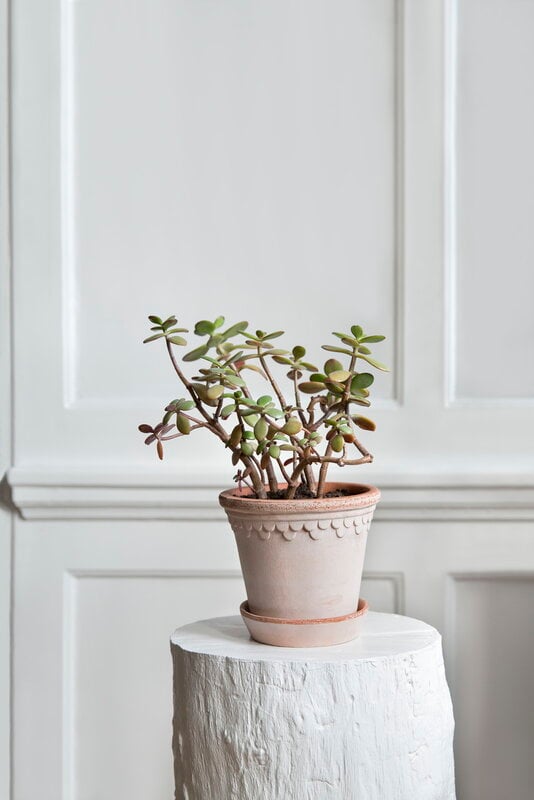 Bergs Potter Københavner Blumentopf mit Untersetzer, Raw Rosa, dekorationsbild