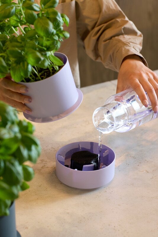Crushgrind Billund self-watering pot, lavender, decoration image