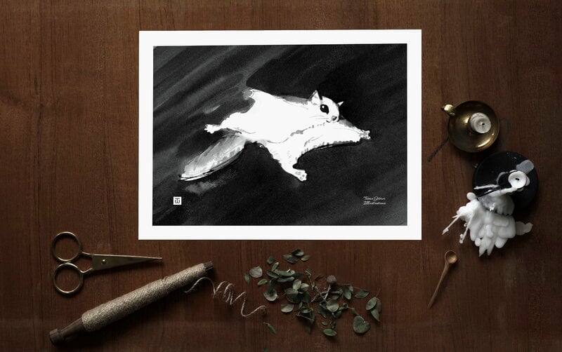 Teemu Järvi Illustrations Flying Squirrel poster, 40 x 30 cm, decoration image
