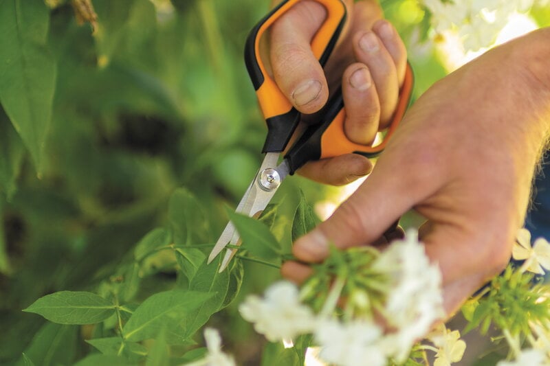 Fiskars Solid Snip pruning shears SP150, decoration image