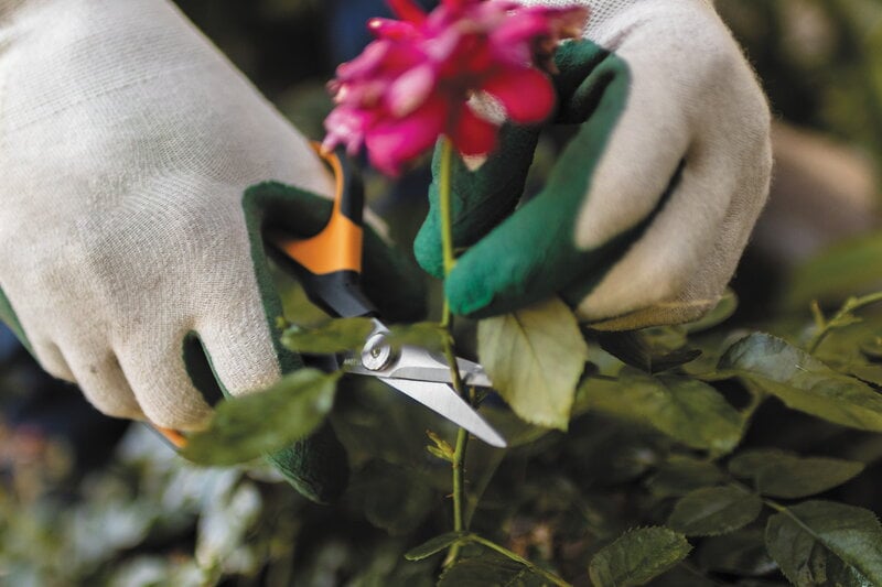 Fiskars Solid Snip pruning shears SP150, decoration image