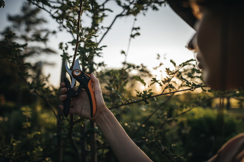 Fiskars Plus PowerLever pruner, bypass P721, decoration image