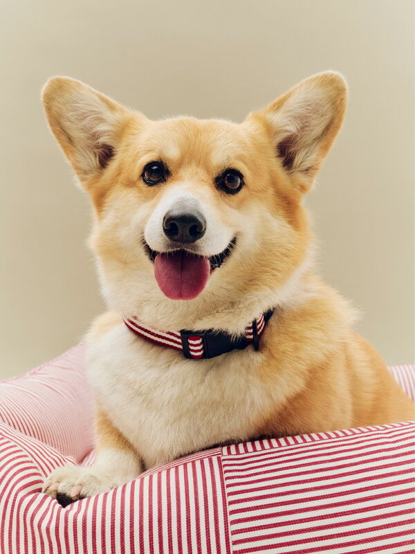 HAY HAY Dogs bed, M, stripe, red - white, decoration image