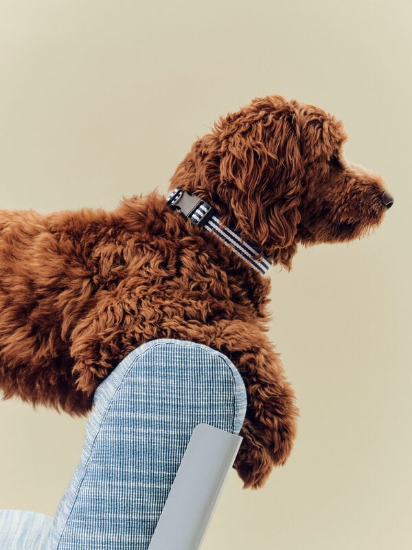 HAY HAY Dogs collar, flat, M-L, stripe, blue - white, decoration image