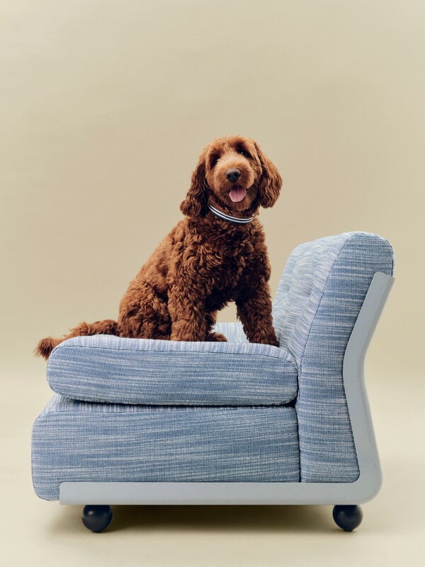 HAY HAY Dogs collar, flat, M-L, stripe, blue - white, decoration image