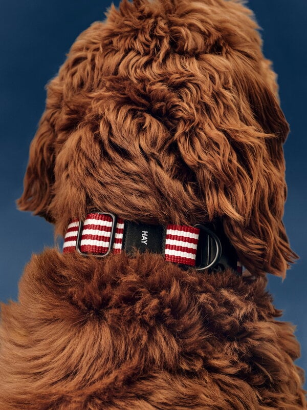 HAY HAY Dogs collar, flat, M-L, stripe, red - white, decoration image