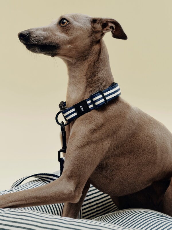 HAY HAY Dogs collar, flat, S-M, stripe, blue - white, decoration image
