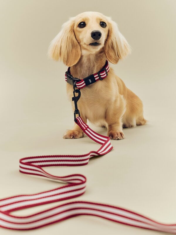 HAY HAY Dogs collar, flat, S-M, stripe, red - white, decoration image