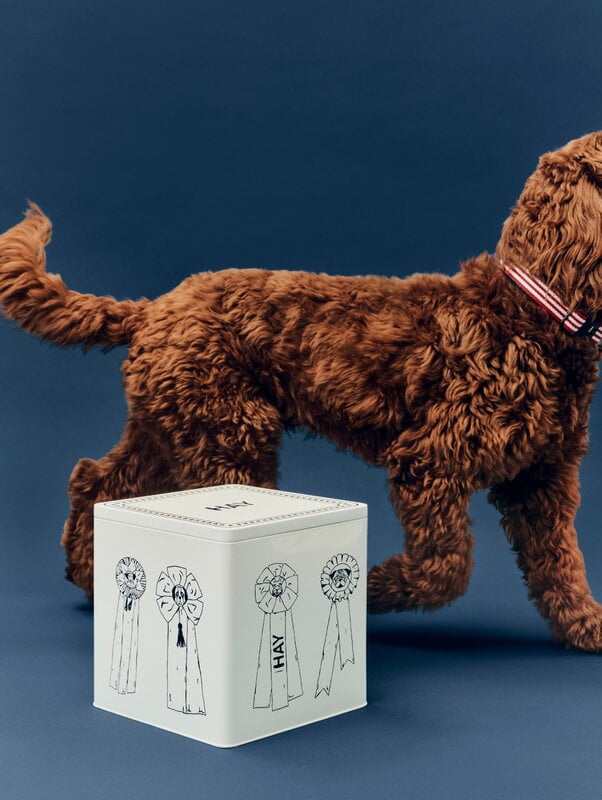 HAY HAY Dogs food storage, large, blue - white, decoration image