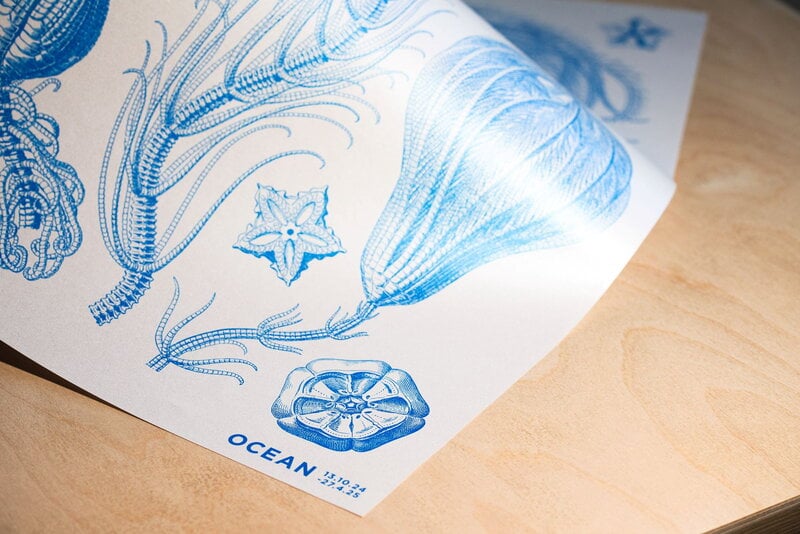 Louisiana Museum of Modern Art Haeckel - Crinoideae blue - Ocean 2024, A2 juliste, sisustuskuva
