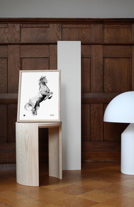 Teemu Järvi Illustrations Horse poster, 30 x 40 cm, decoration image