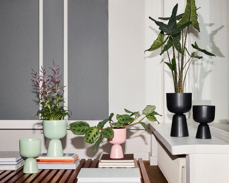 Iittala Nappula maceta, S, menta mate, imagen de decoración
