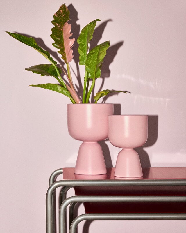 Iittala Nappula maceta, S, rosa mate, imagen de decoración