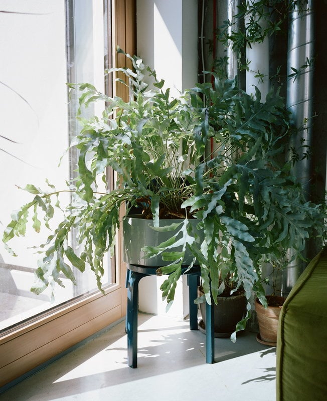 Artek Riihitie plant pot A, Design grey | light large, Finnish Shop
