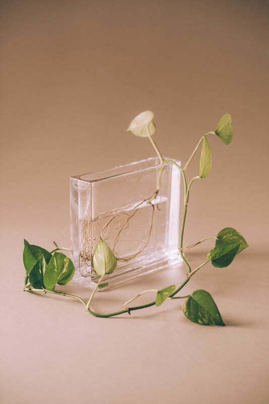 Nedre Foss Vaso Monoblokk, vetro trasparente