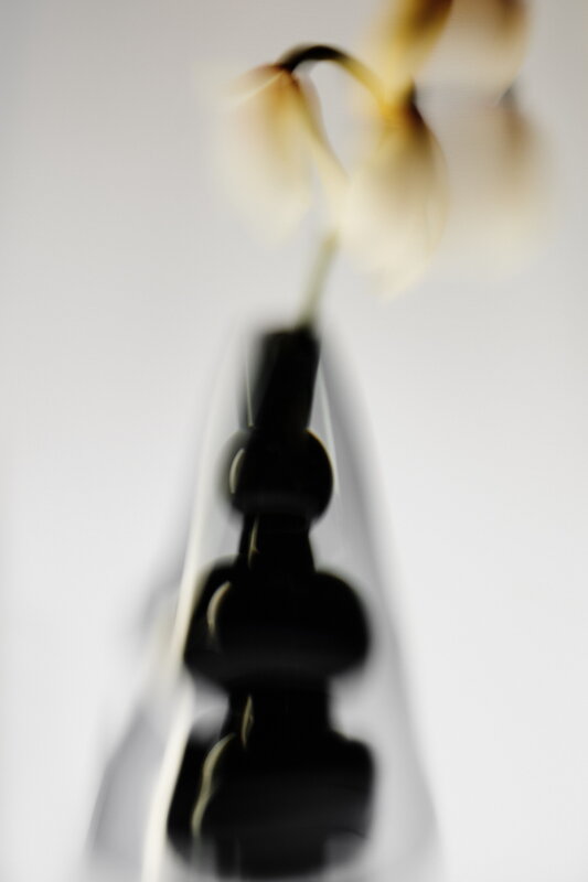 Tom Dixon Bump vase, cone, black, decoration image