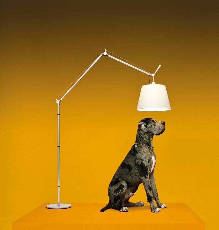 Tolomeo Mega lampada da terra