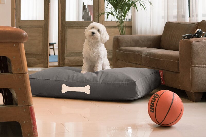 Fatboy Doggielounge, groß, recyceltes Canvas Anthrazit, dekorationsbild