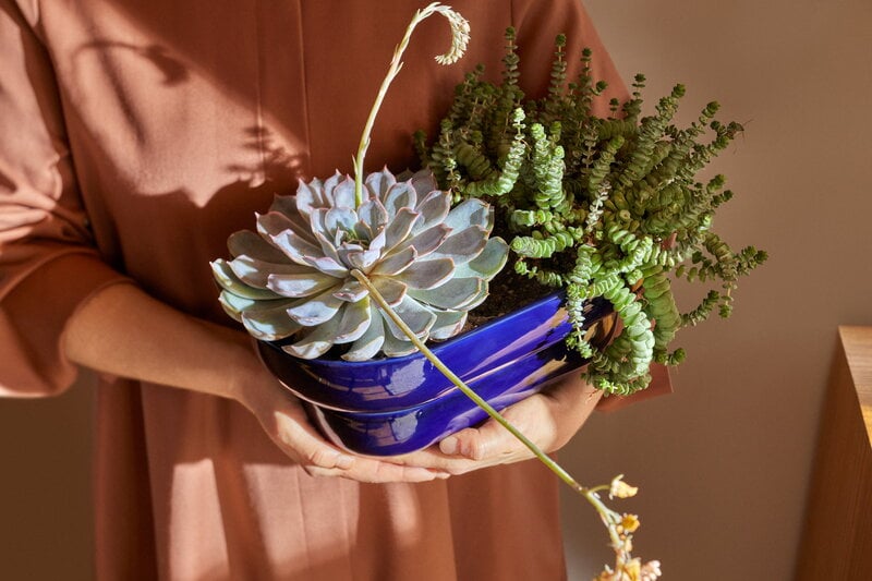 Pidät KUKKA flowerpot, cobalt, decoration image