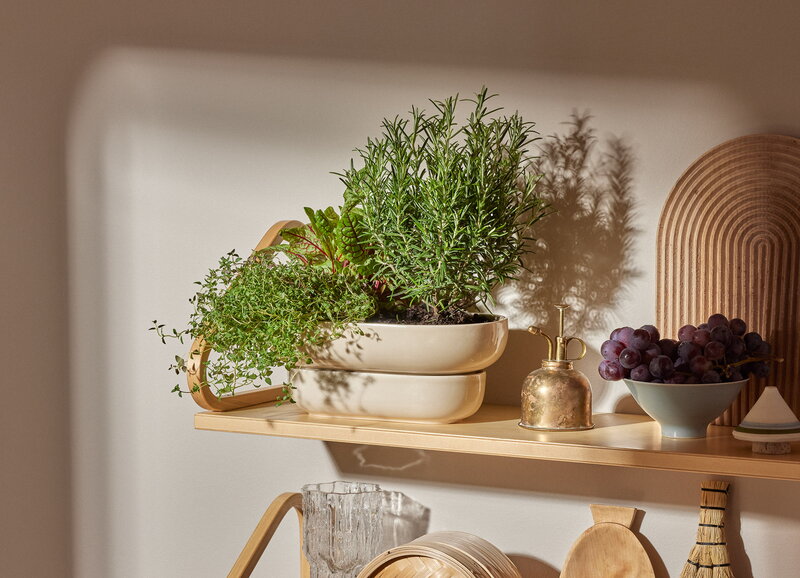 Vaso Da Fiori In Ceramica Per Piante Succulente Su... - Grandado - Foto 9