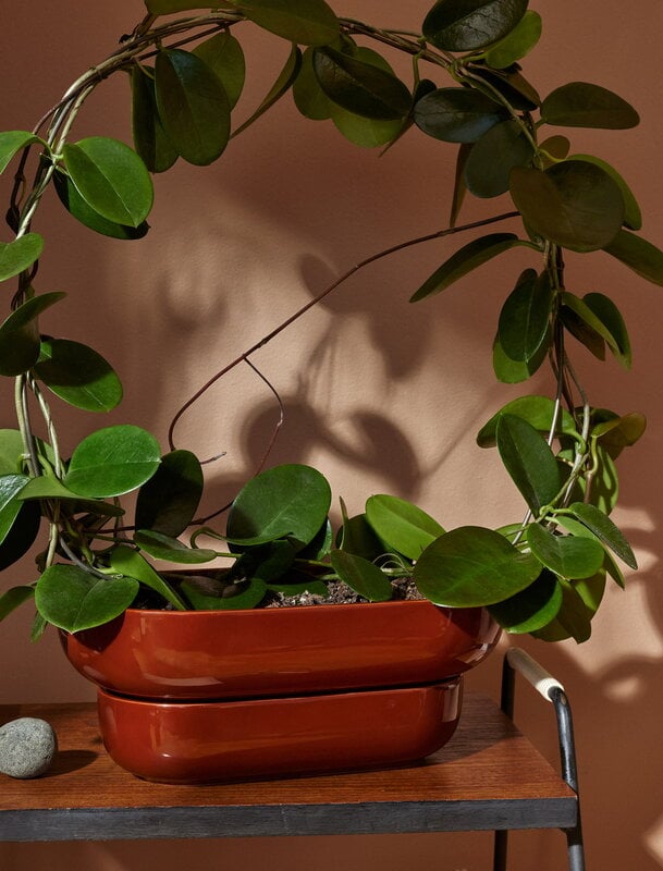 Pidät KUKKA flowerpot, brick, decoration image