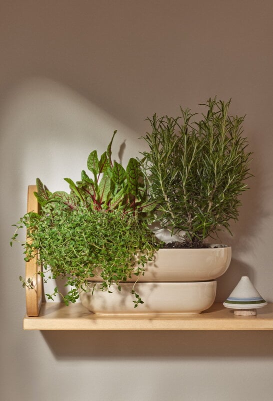 Pidät KUKKA maceta, arena, imagen de decoración